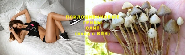 ешки Алзамай