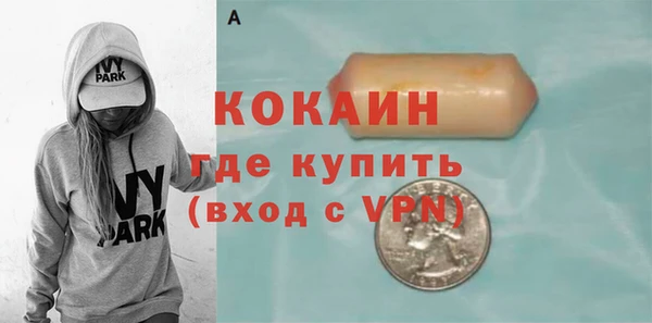 молекула духа Алексин
