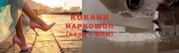 прущие грибы Абинск
