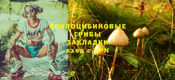 ешки Алзамай