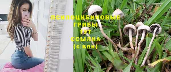 гашик Абаза
