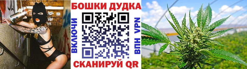 Бошки марихуана план  Чулым 